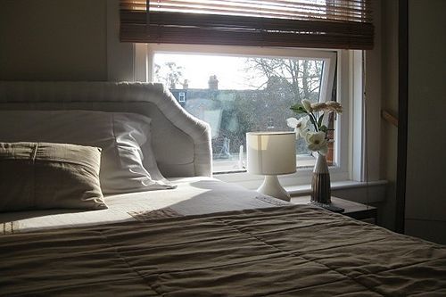 White House View 3*